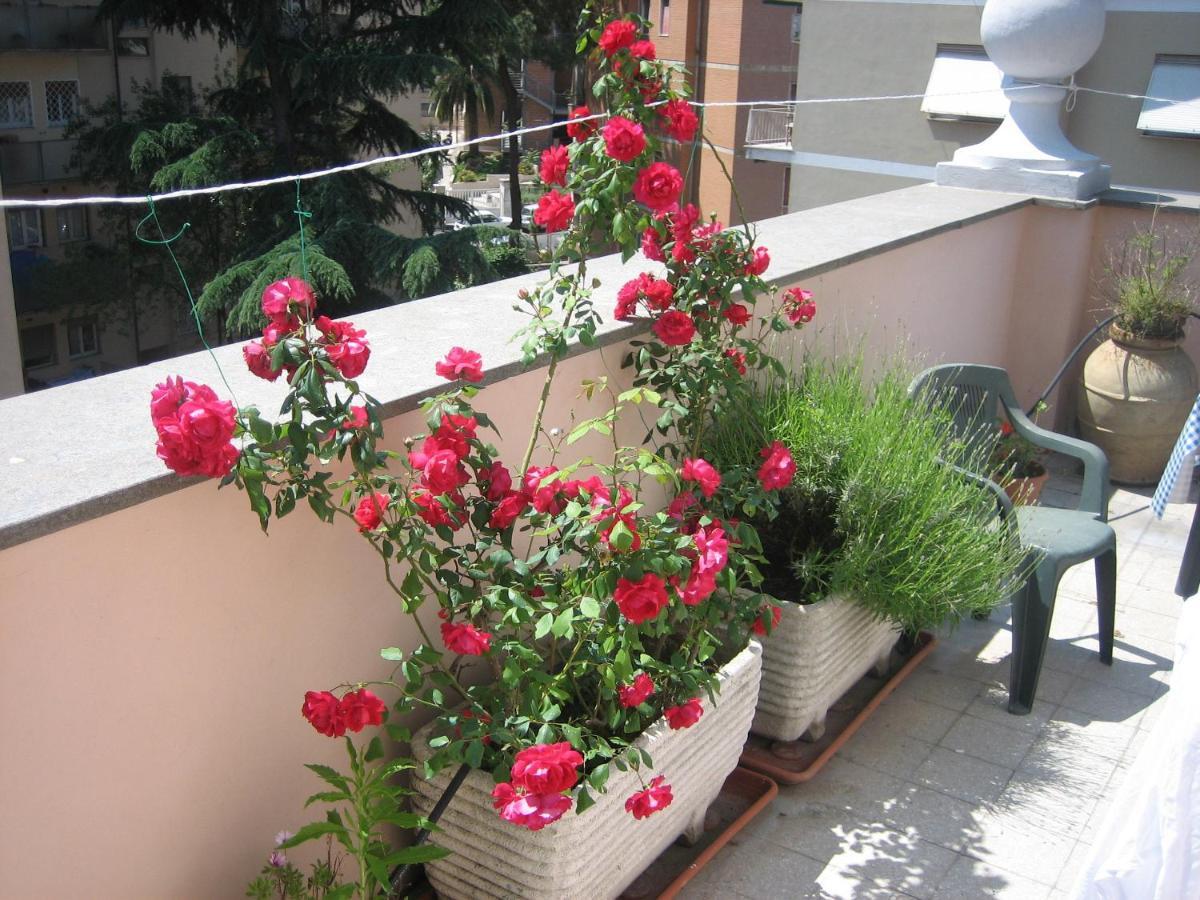 B&B Le Terrazze Vatican - Rome